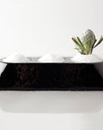 Signature Treatment Dish in Onyx/Black